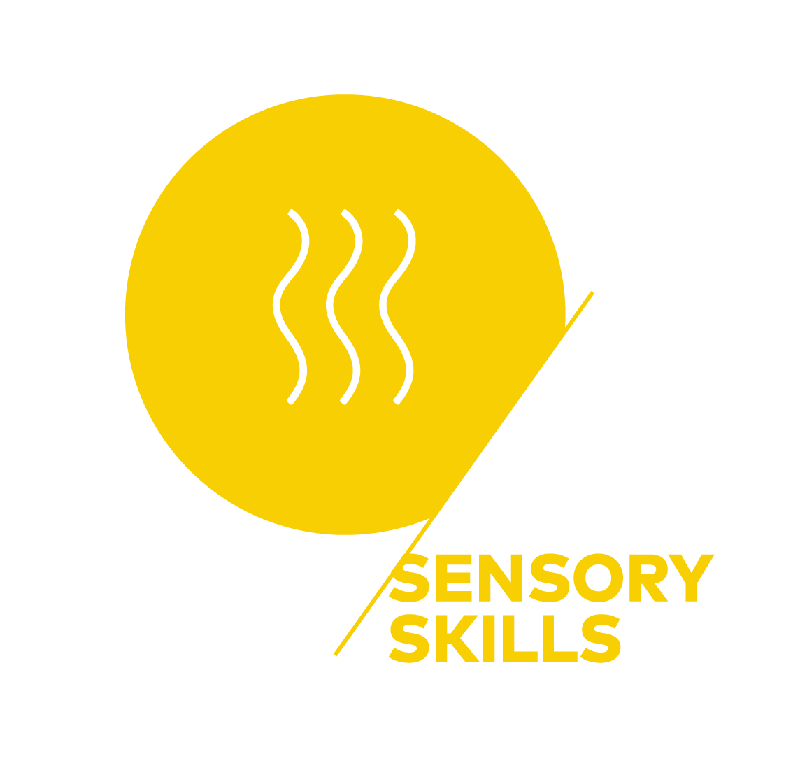 Sensory Skills 感官